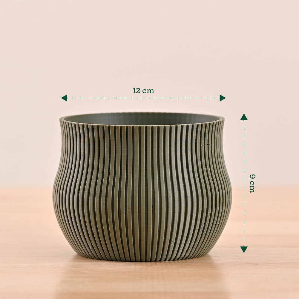 3d printed pots_NUHP0345