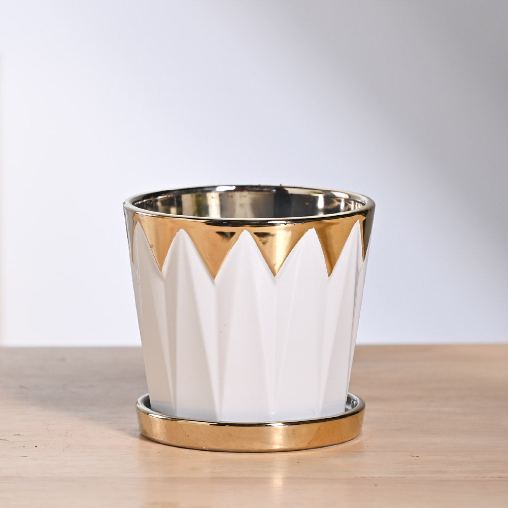 Crown ceramic pot - 5 inch