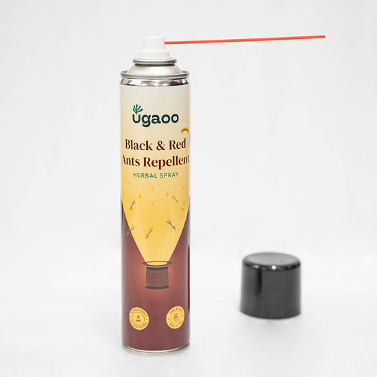 Herbal Black & Red Ant Repellent Spray - 350ml