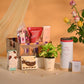 Money Plant Festive New Year Employee Gifting Hamper