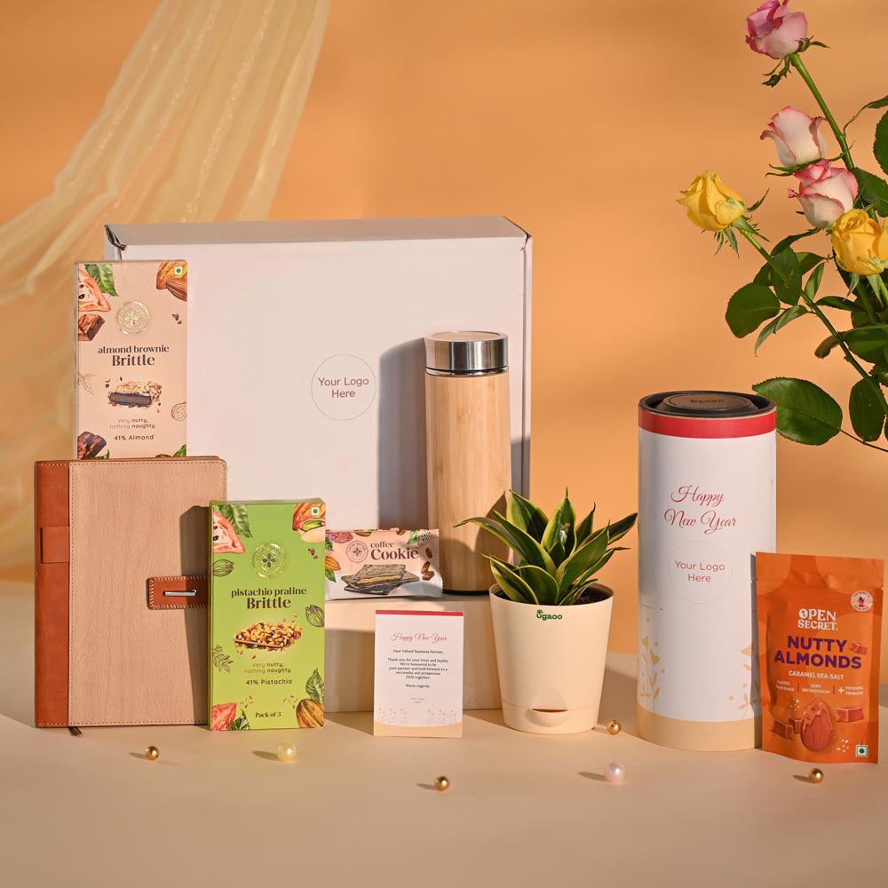 Snake Plant Premium Executive New Year Hamper