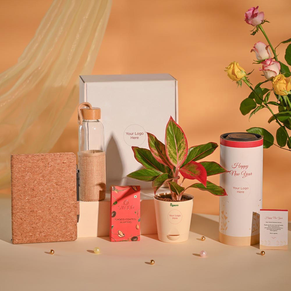Aglaonema New Year Corporate Gifting Hamper