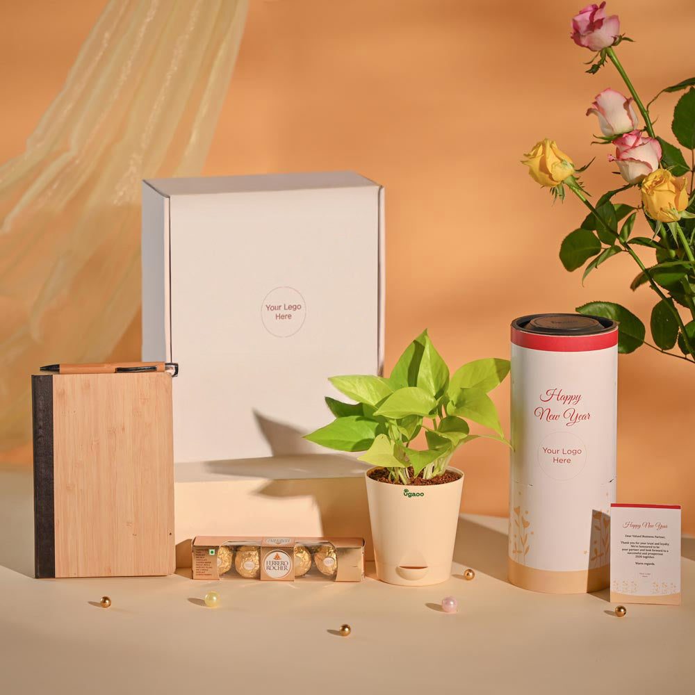 Money Plant New Year Corporate Desk Hamper