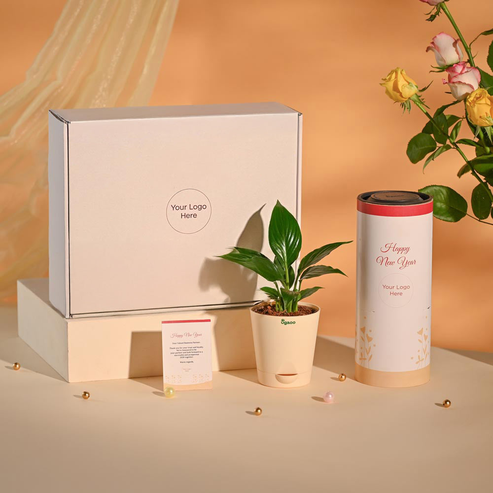 Peace Lily Luxury New Year Corporate Hamper