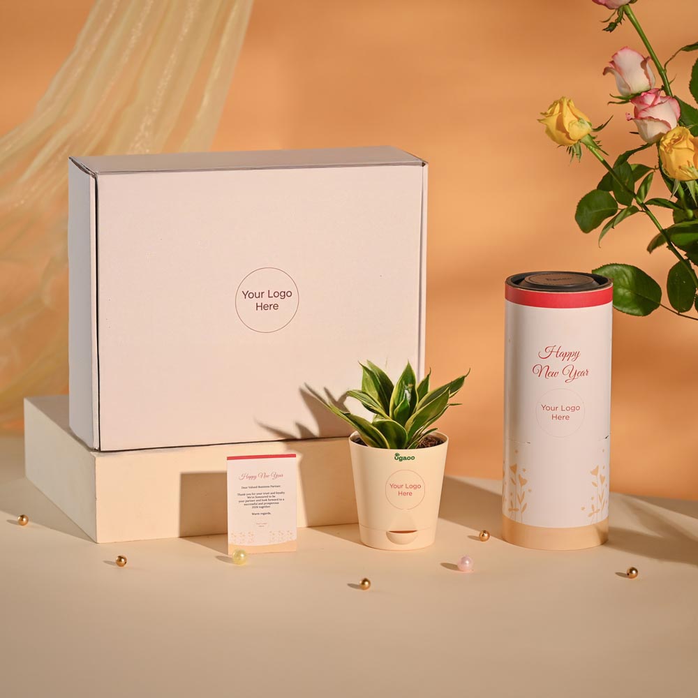 Snake Plant Premium Executive New Year Hamper