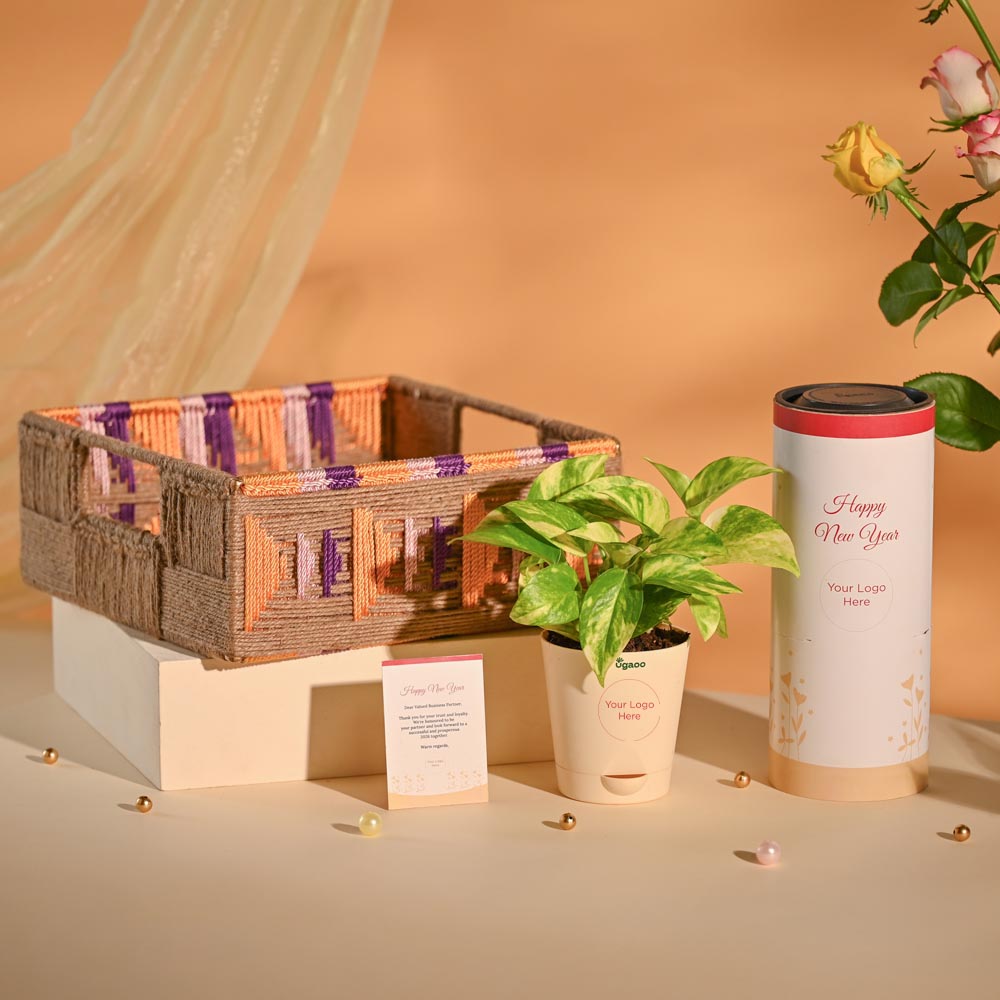 Money Plant Festive New Year Employee Gifting Hamper
