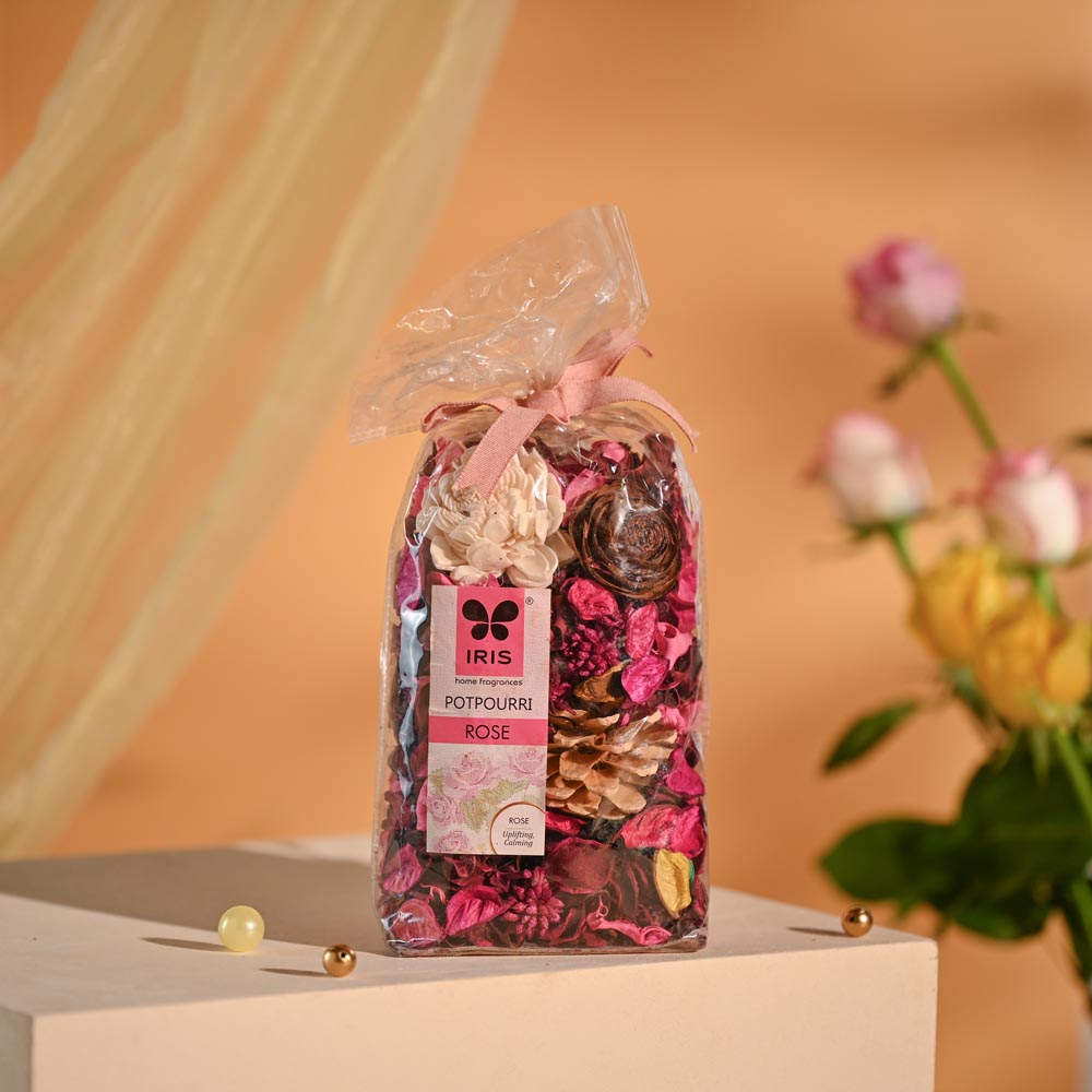 Money Plant Festive New Year Employee Gifting Hamper