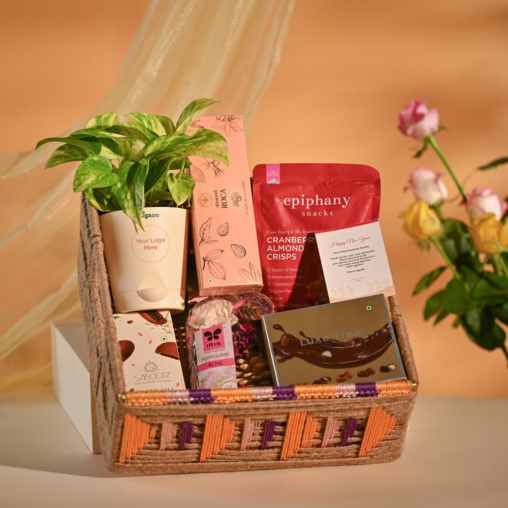 Money Plant Festive New Year Employee Gifting Hamper