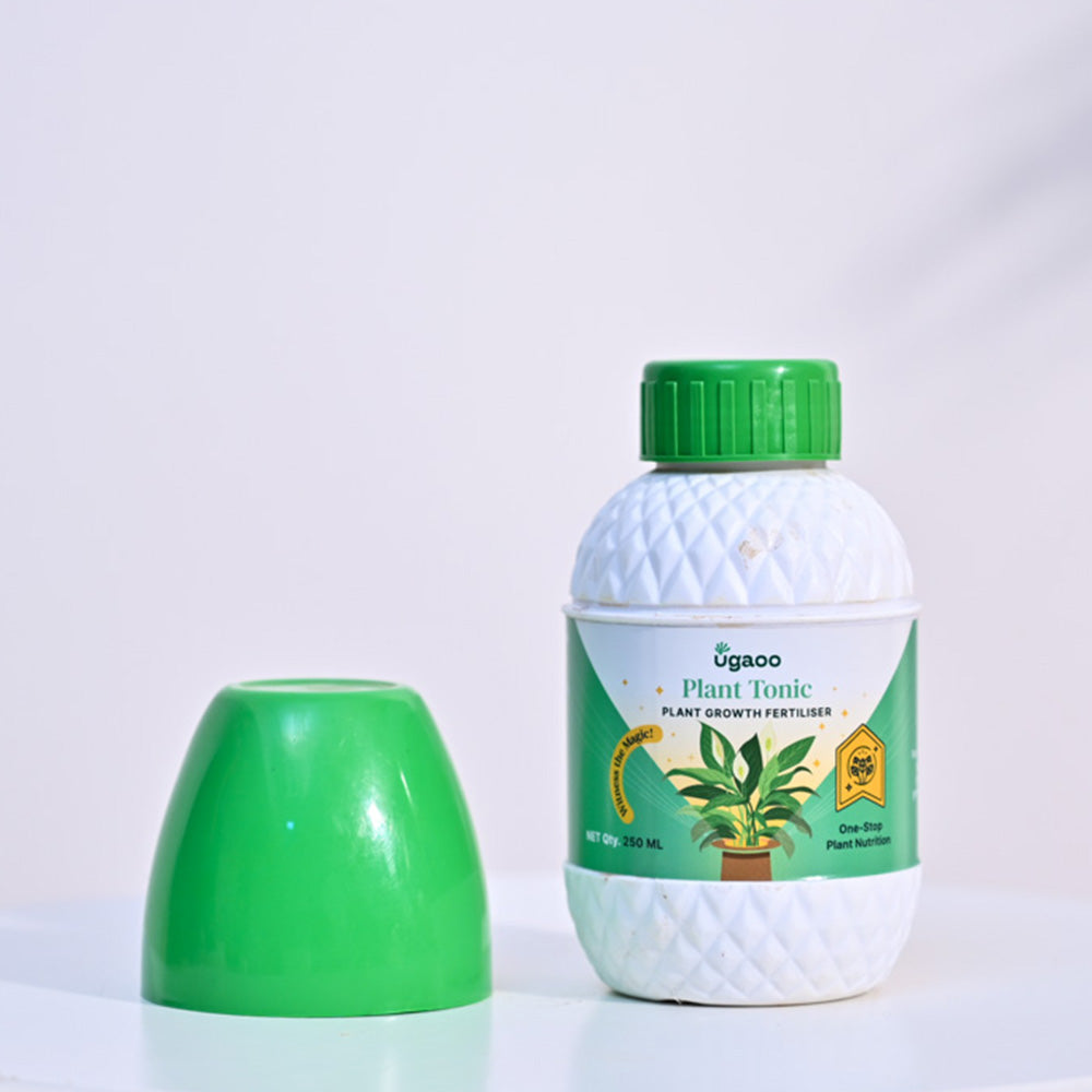 seaweed tonic for plants without fertilizer 250 ml Seaweed liquid fertilizer | Plant tonic for Plants