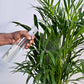 Seaweed Extract Liquid Fertilizer - Plant Tonic 250 ml
