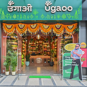 NIBM - Tribeca Highstreet