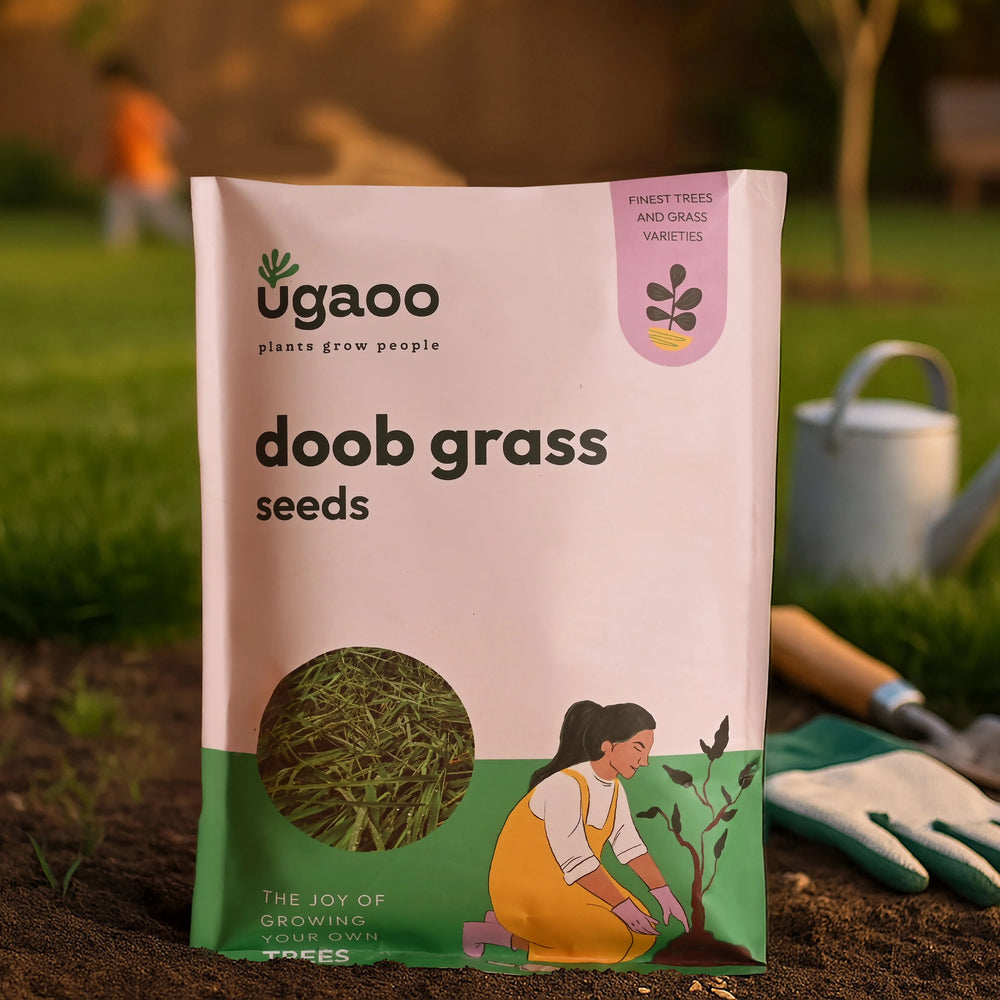 Doob Roots Doob Grass Seeds (Carpet Lawn) – Ugaoo