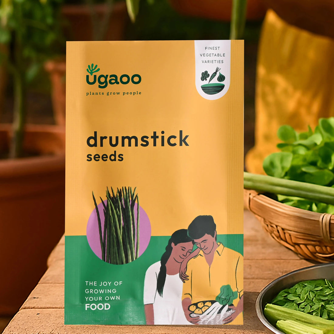 Drumstick Seeds (Moringa)