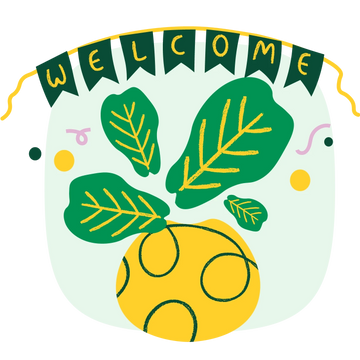 Collection-list-image