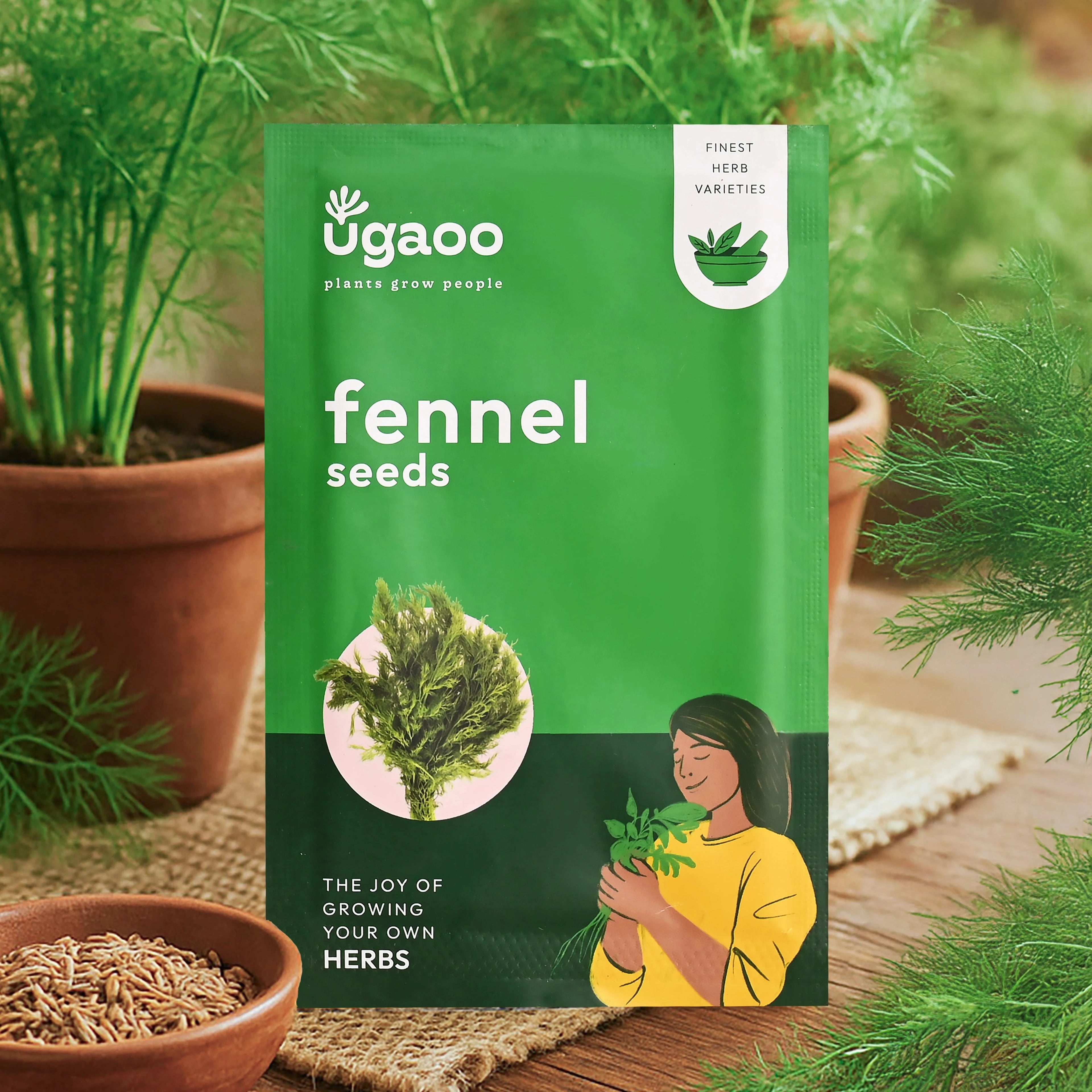 Fennel Seeds