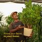 Ficus Moclame Plant - XL