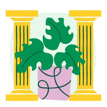 Collection-list-image