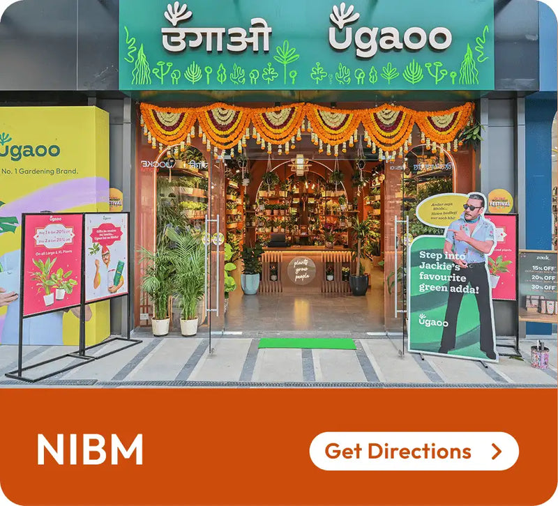 Pune store image