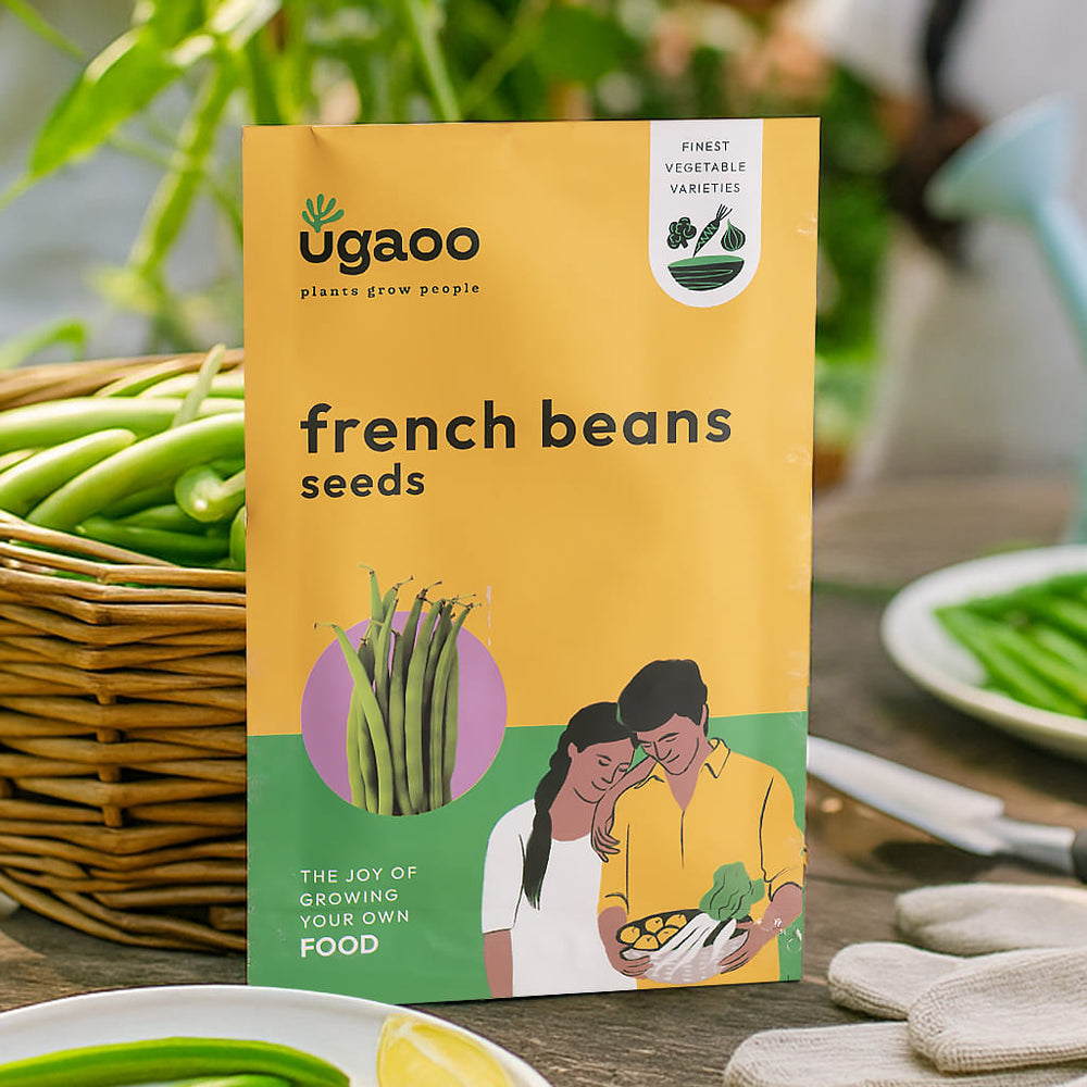 French Bean Seeds