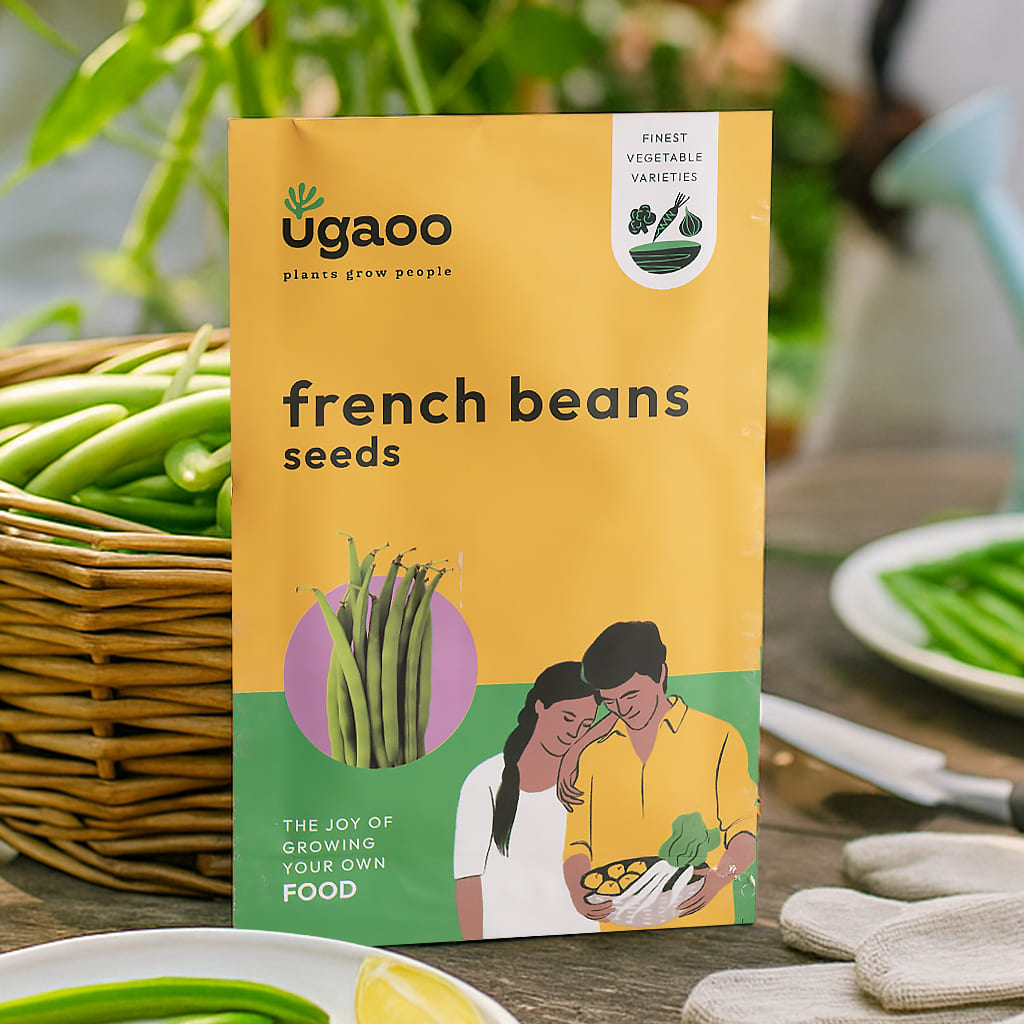 French Bean Seeds