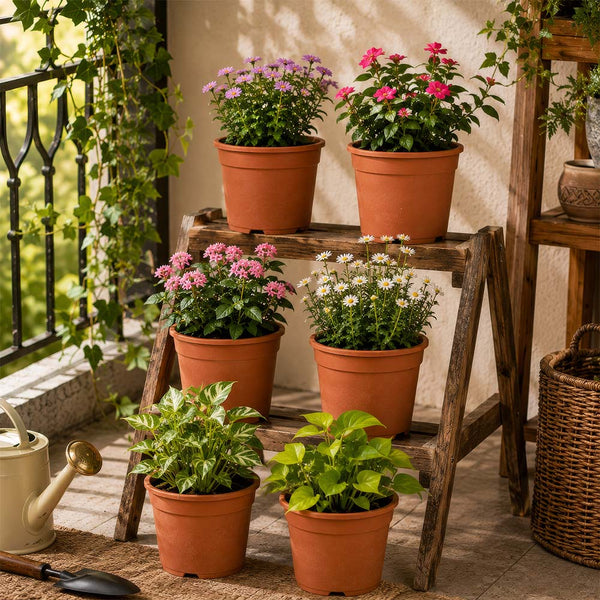 Gardening Pots - Terracotta Color