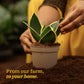 NUPL0333,NUPL0333LWT,NUPL0333LMC,NUPL0333LGY,NUPL0333KIY,NUPL0333KWT,NUPL0333KRD,NUPL0333KBN,NUPL0333KYL,NUPL0333KLG,NUPL0333SWT,NUPL0333SPK,NUPL0333SBK,NUPL0333STQ,NUPL0333SCB,NUPL0333SSB