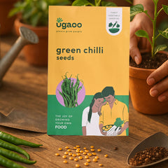 Green Chilli Seeds