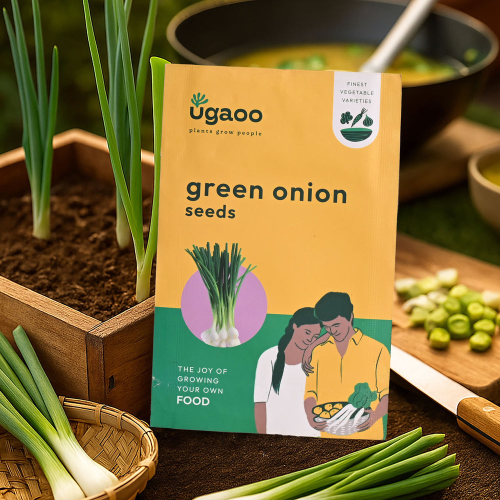 Green Onion Seeds (Leek)