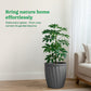 Kyiv Planter - Set of 3