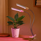 Grow Light for Indoor Plants