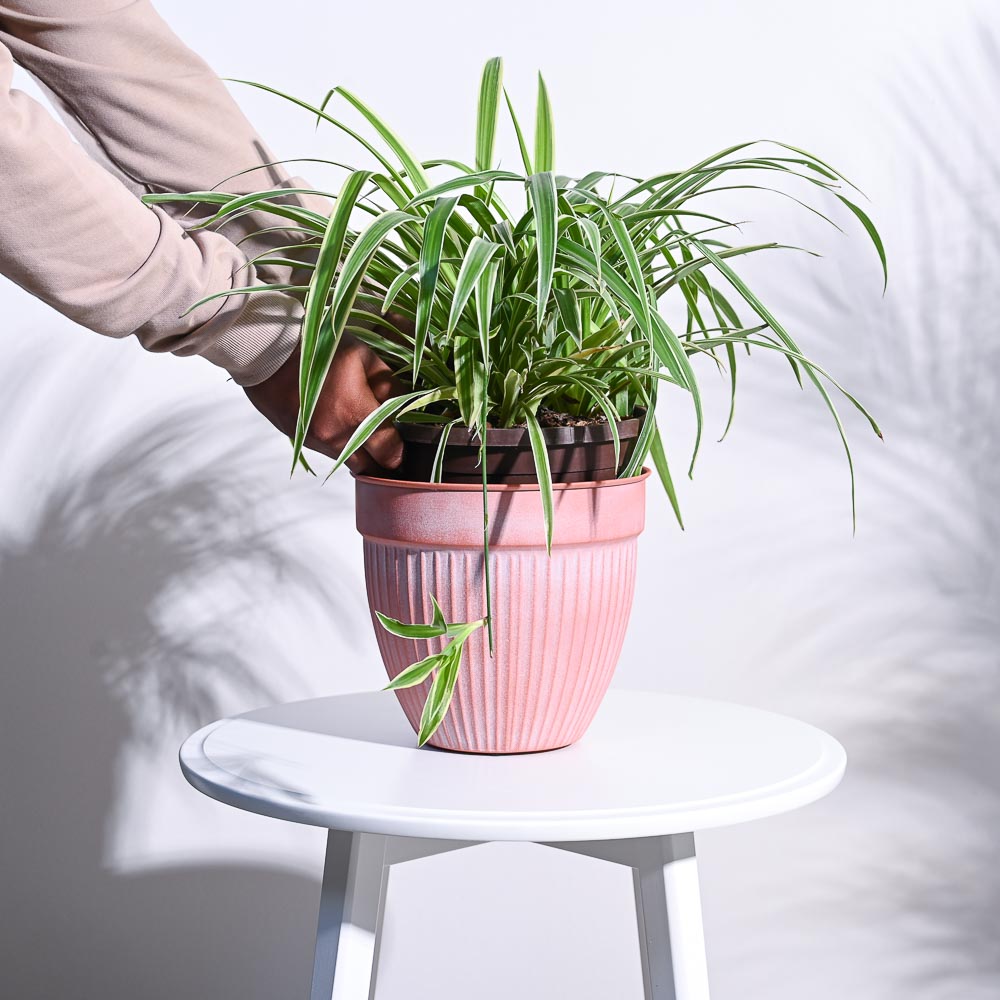 Pastel Ridge Heritage Planter