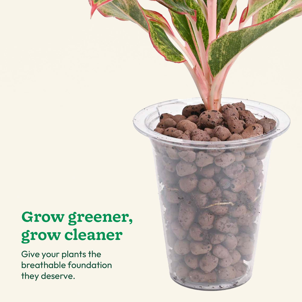 Hydrostone LECA Balls - 6 Litre