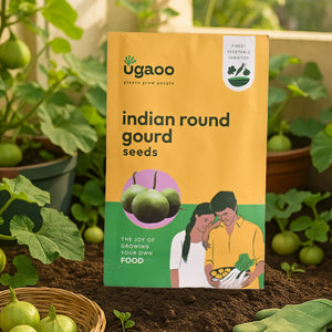 Indian Round Gourd Seeds (Tinda)