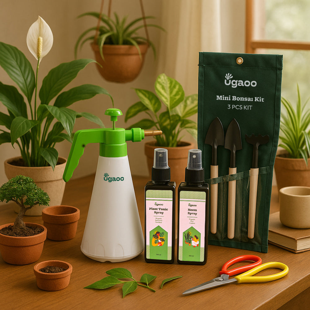 Indoor Gardening Kit