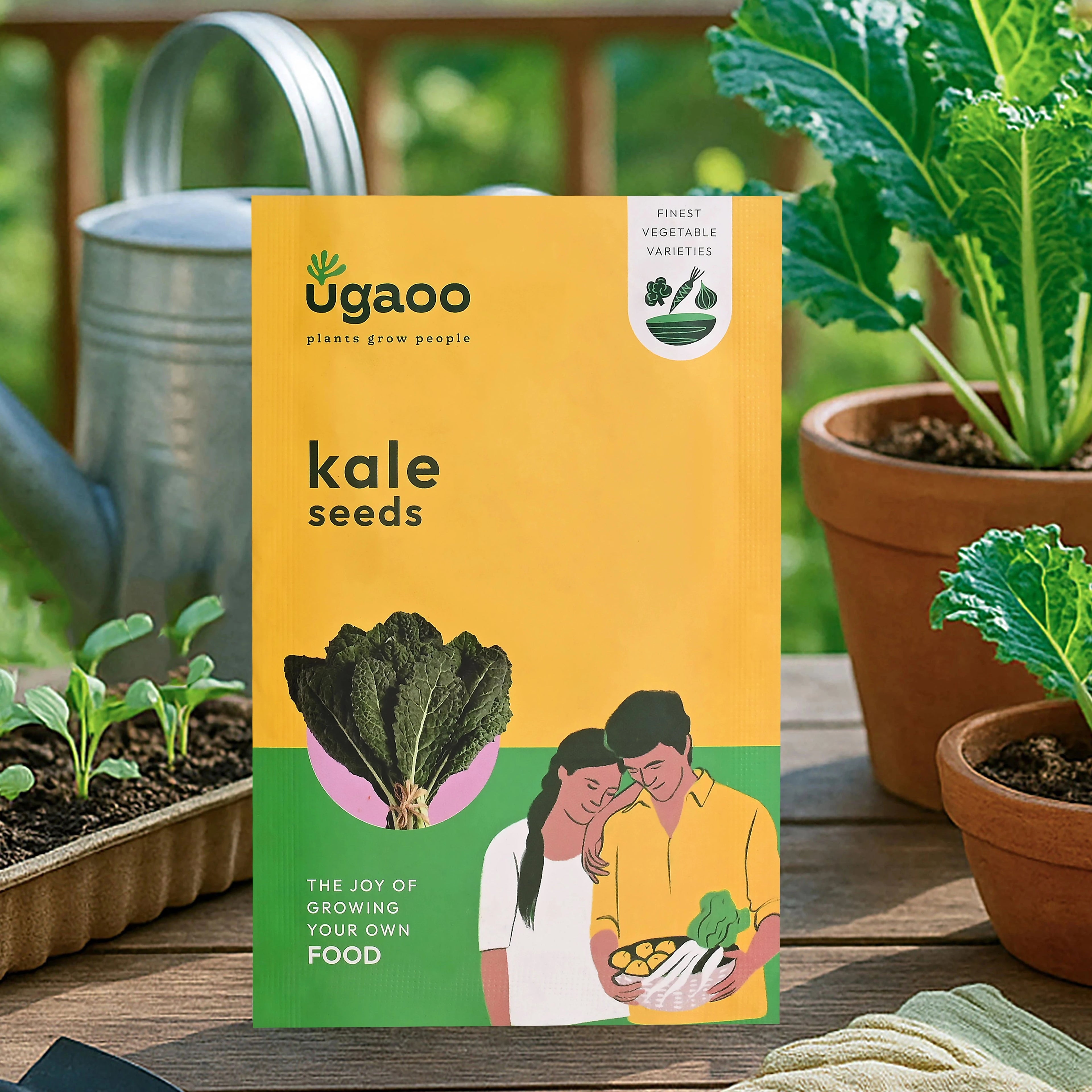 Kale Seeds