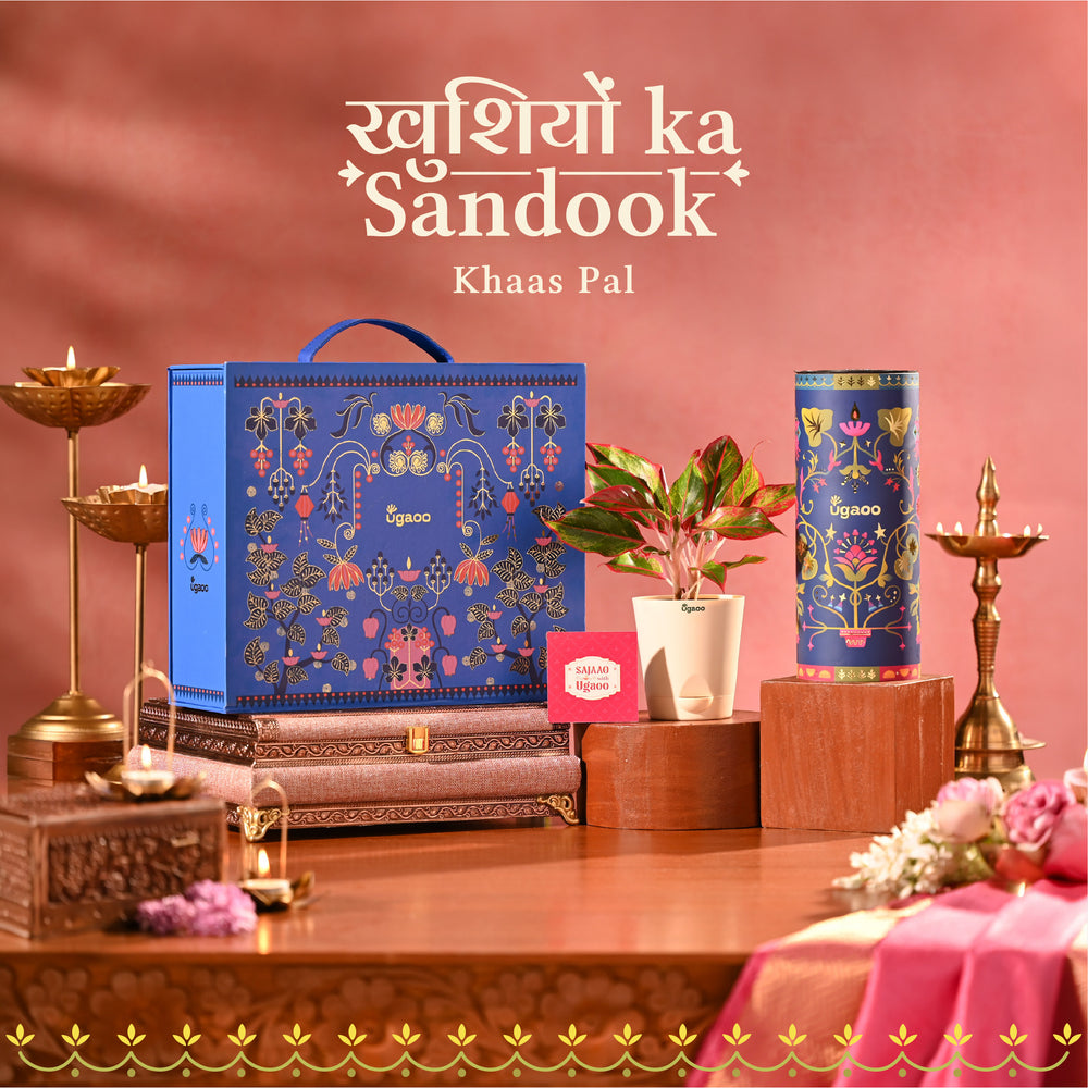 Khushiyon Ka Sandook: Khaas Pal