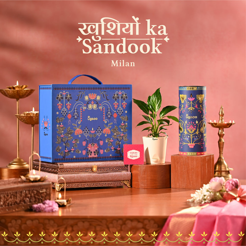 Khushiyon Ka Sandook: Milan
