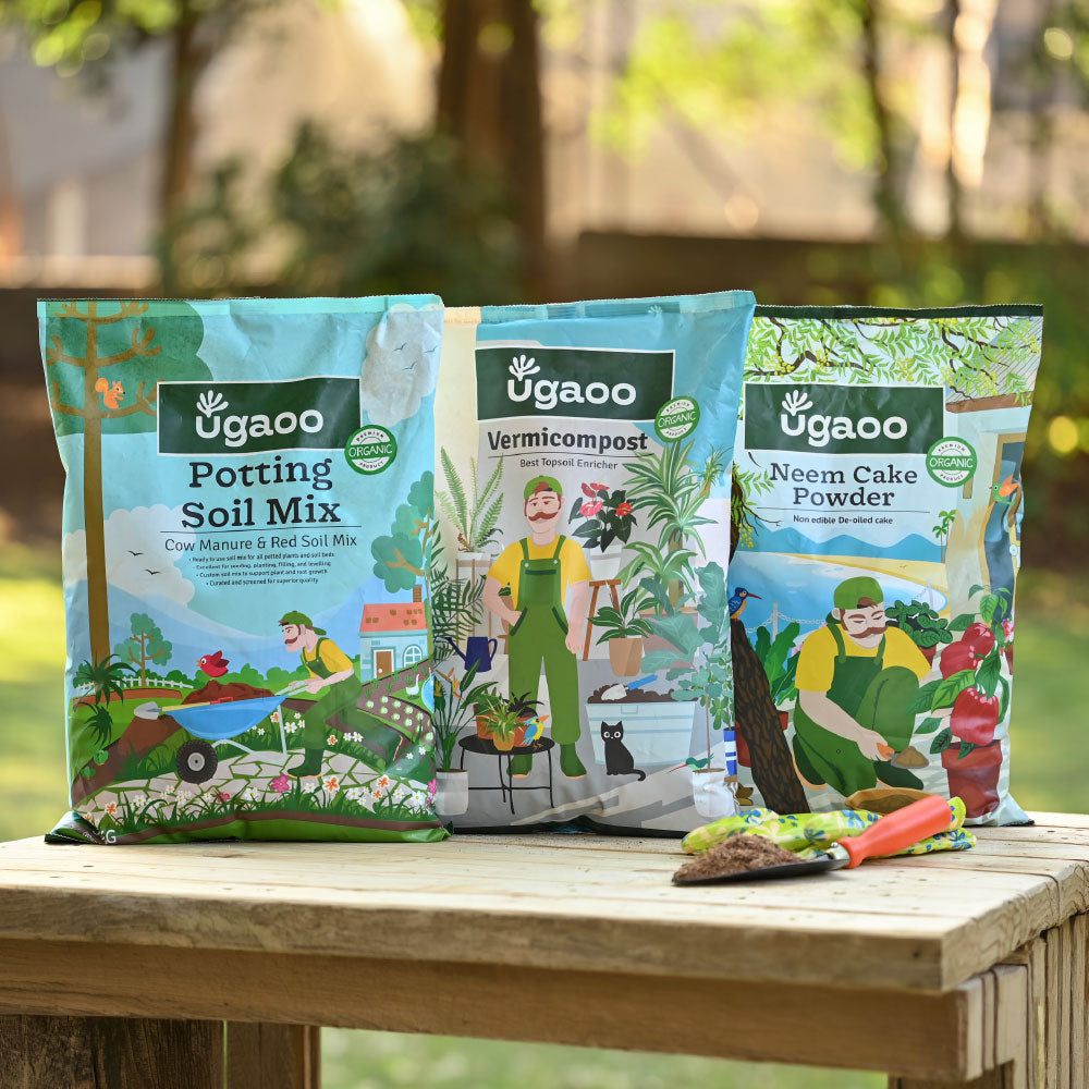 Complete Soil Foundation Bundle