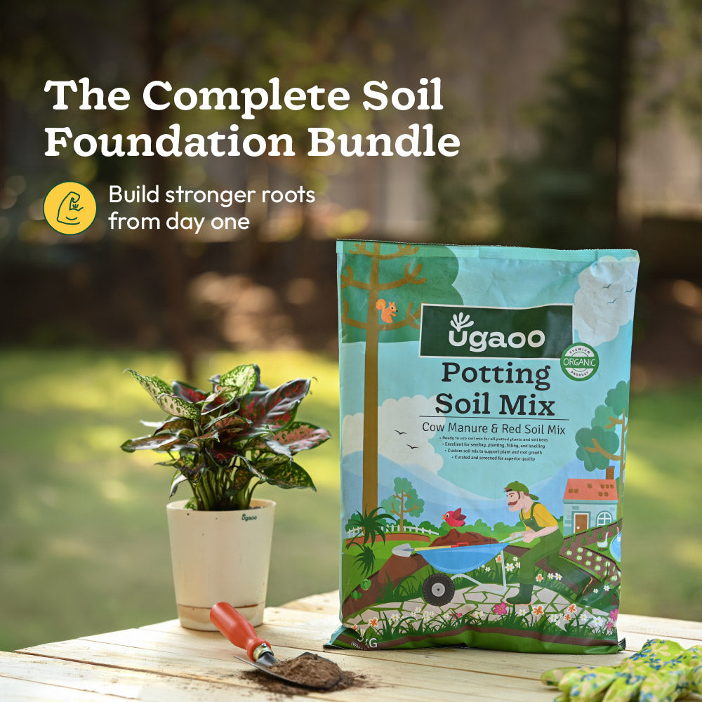 Complete Soil Foundation Bundle