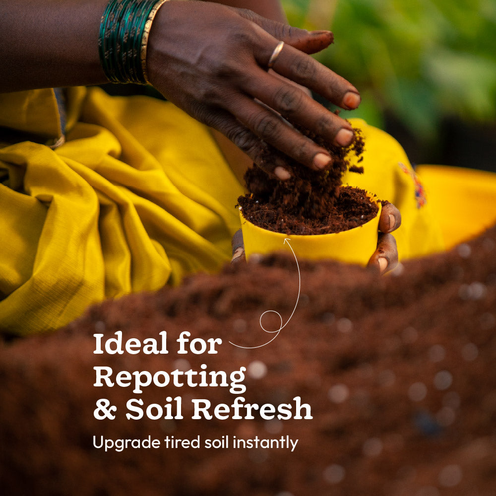 Complete Soil Foundation Bundle