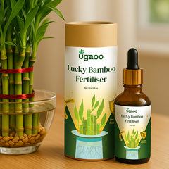 Lucky Bamboo Fertilizer