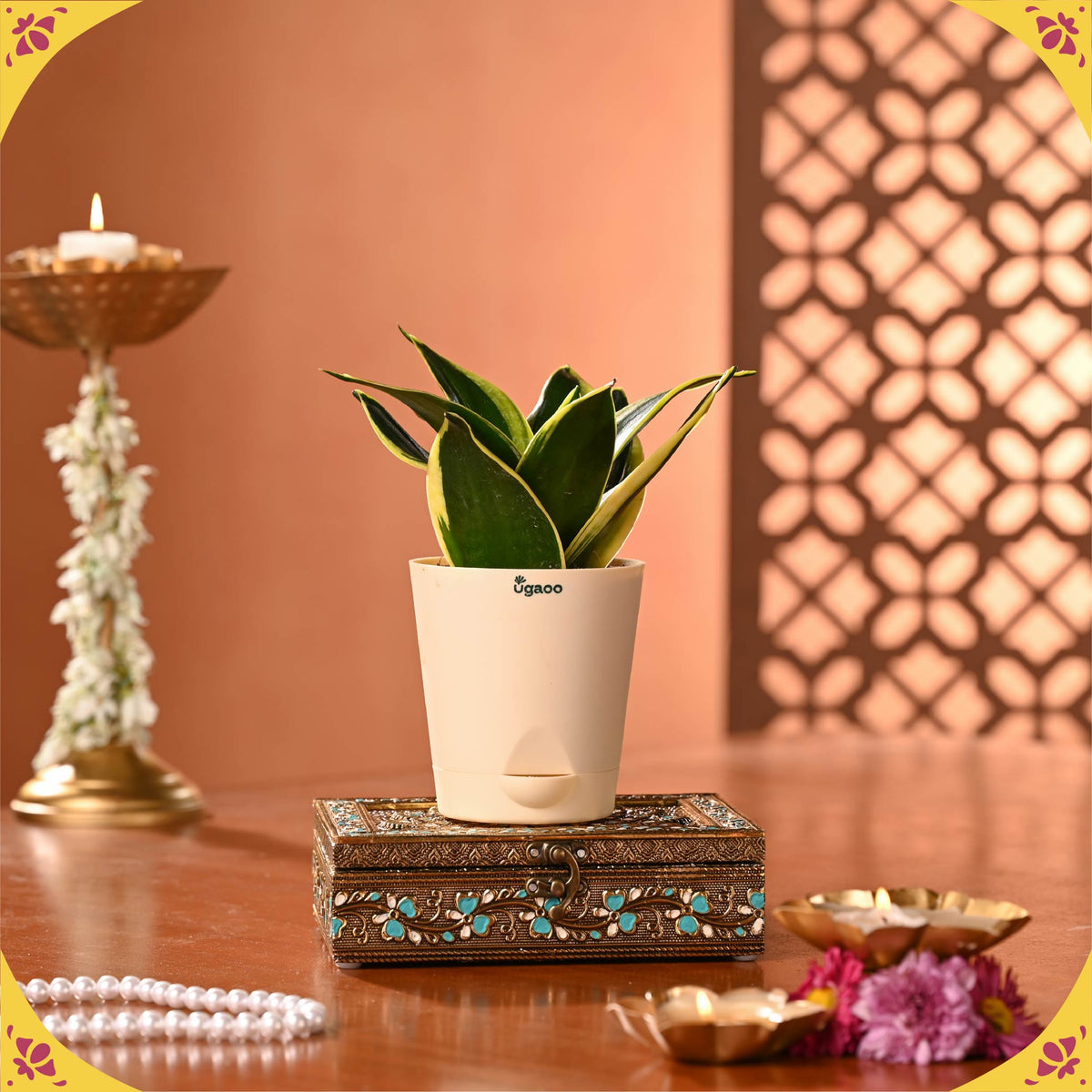 Roop Diwali Hamper