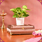 Shubh Aarambh Diwali Hamper