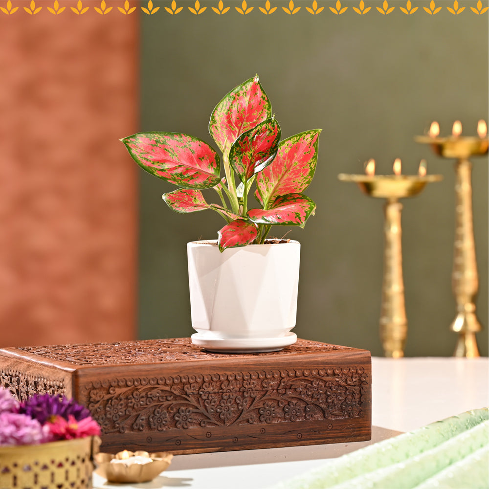 Meethi Yaadein Gift Box: Jashn