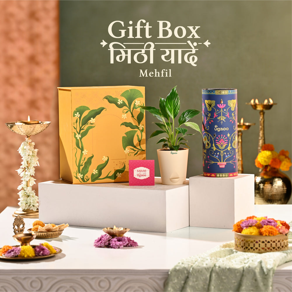 Meethi Yaadein Gift Box: Mehfil