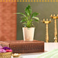 Meethi Yaadein Gift Box: Mehfil