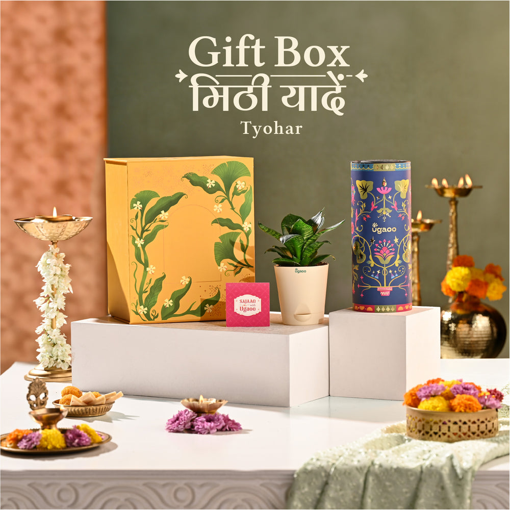 Meethi Yaadein Gift Box: Tyohar
