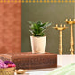 Meethi Yaadein Gift Box: Tyohar