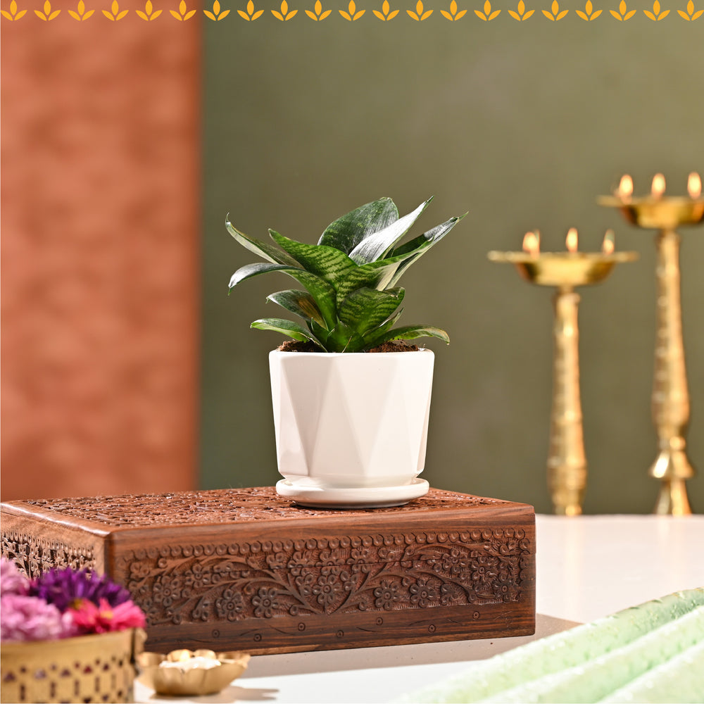 Meethi Yaadein Gift Box: Noor