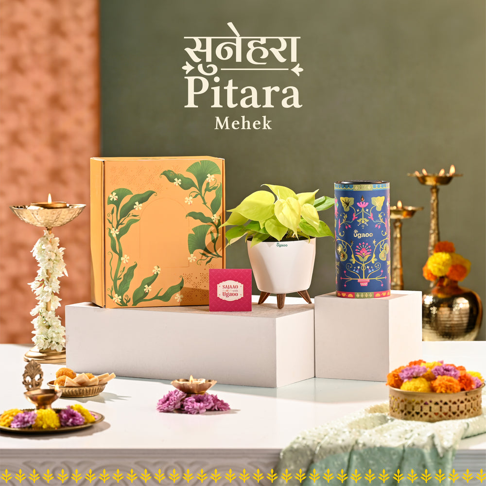 Sunehra Pitara: Mehek